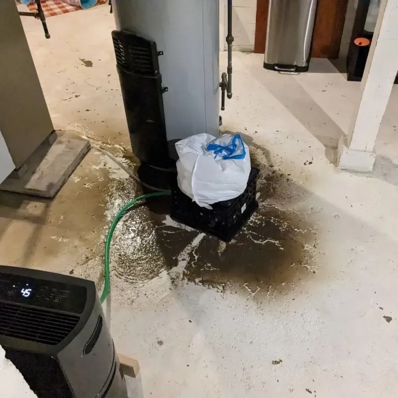 Sewage Backup Cleanup Service in Bay Minette, AL